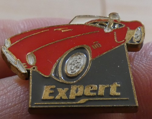 Beau pin vintage - beau, pin's