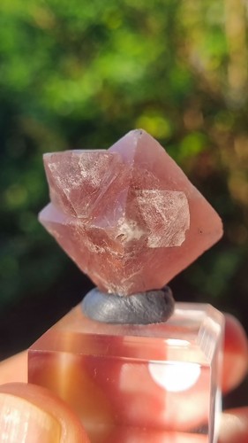 Pink fluorite fluorine - fluorine, rose