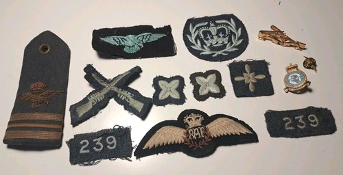 Raf cloth badges - badges., piolets