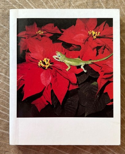 Nobuyoshi araki polaeroid - nobuyoshi,