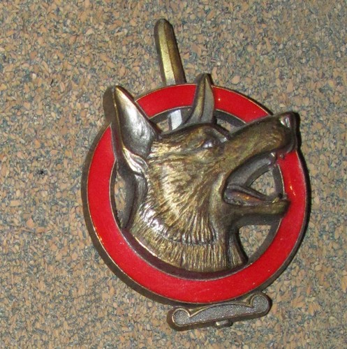 Very nice pin dog berger - dog,