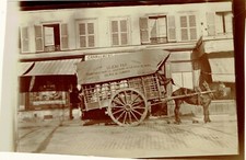 FRANCE Circa 1905 Transport of animals for slaughterhouses in the city of Paris