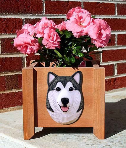 Pot fleurs alaskan malamute - pot, de