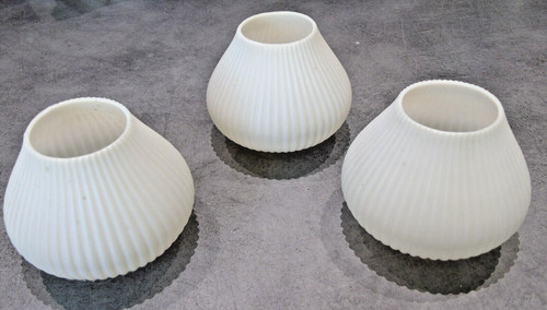 Tulipes blanches en - 3,