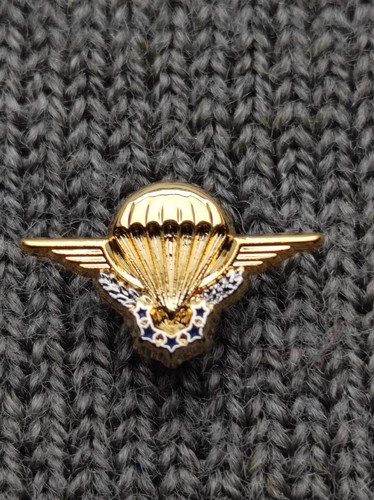 Pin reduction brevet - pin's,