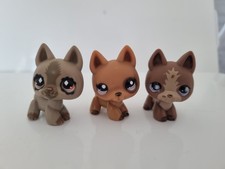 littlest pet shop Lps #491