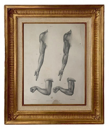 Gravure lithographie xix - gravure,