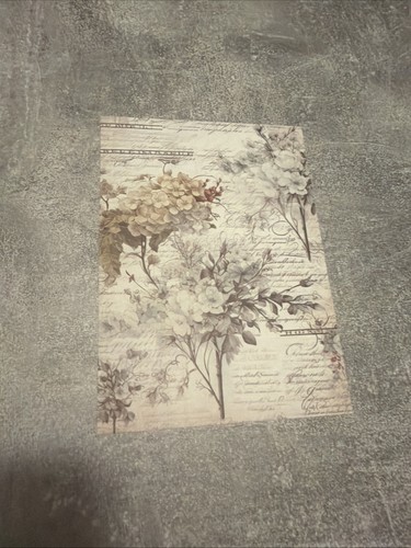 Feuille papier scrapbooking - feuille,