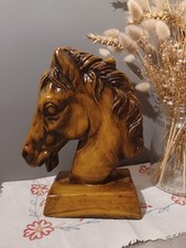 Belle Tête De Cheval En