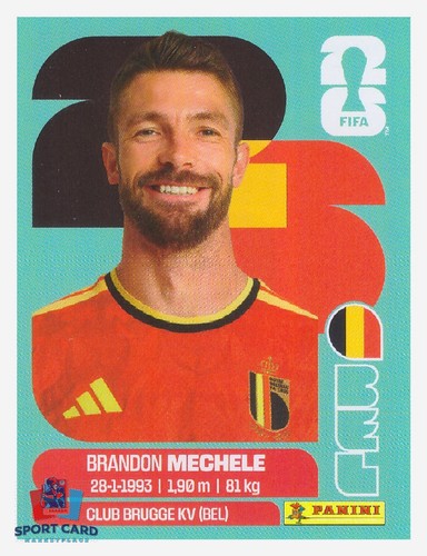 Panini fifa world - panini,