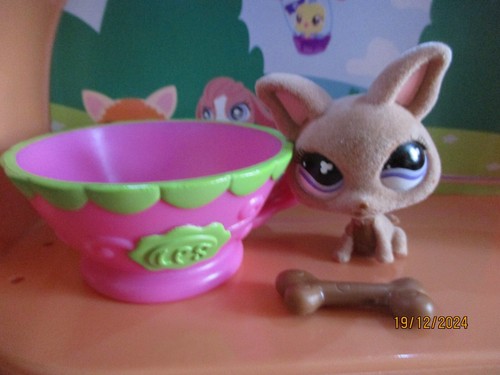 Petshop chien chihuahua 461 - chihuahua, #461