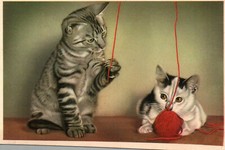 Cats Playing with Wool Ball