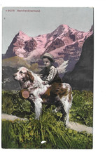 SUISSE  CHIEN SAINT BERNARD