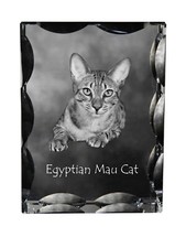 Chat Mau égyptien cadre en