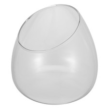  Slant Glass Bowl Terrarium