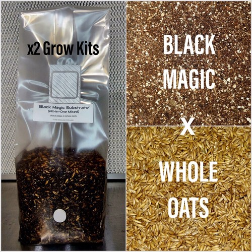Premium exotic dung all one - exotic,