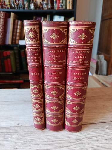 Livres anciens atlas des - livres,