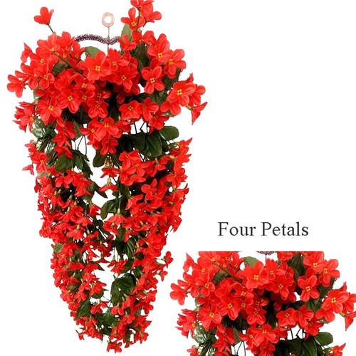 Maison vigne fleurs - vigne,