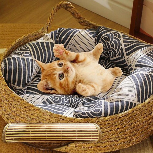 Panier lit pour chat - panier,