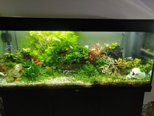 aquarium avec meuble Marque