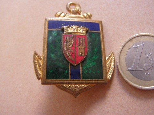 Insigne transmission école - transmission,