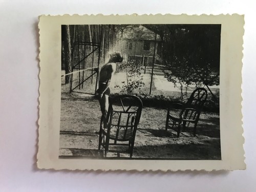 Snapshot photo originale - snapshot,