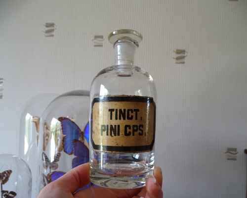 Flacon pharmacie tinct pini - pharmacie,