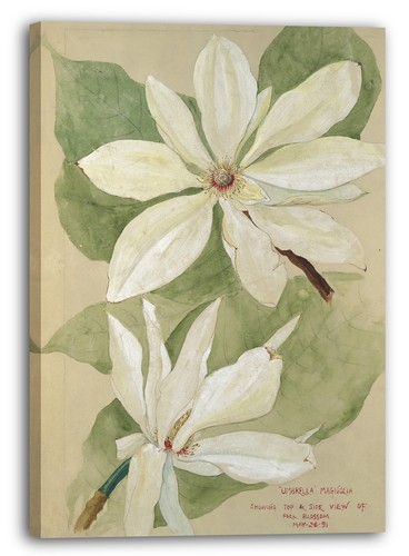 Toile cadres artiste inconnu - toile/cadres,
