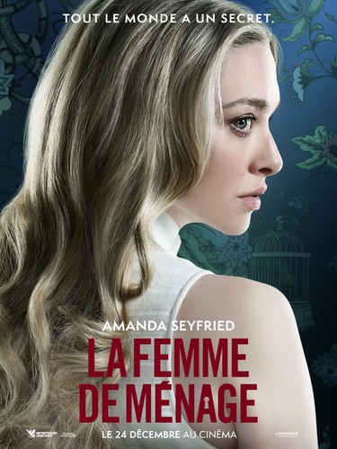 Femme menage affiche - menage,