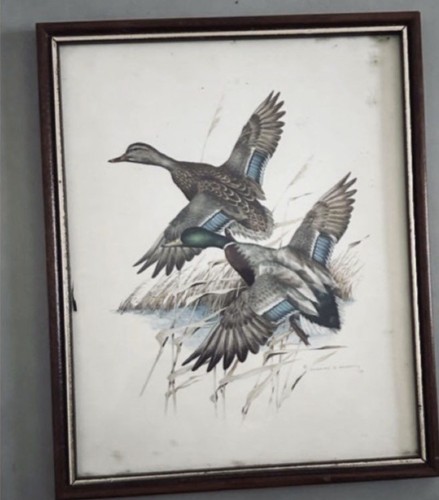 Tableau vol canards - vol, de