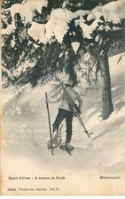 WINTER SPORT cross-country skiing / snowshoe skiing