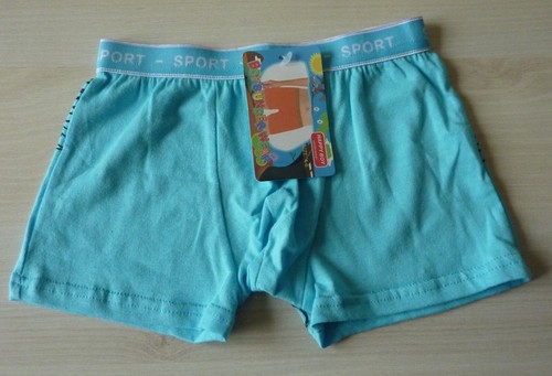 Boxer culotte slip caleçon - boxer,