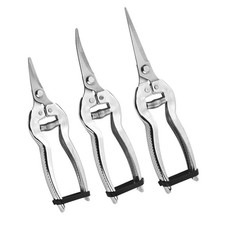 Cisailles à couper branche