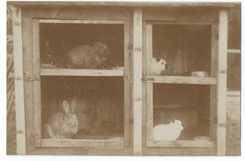 Bm504 carte photo vintage - photo,