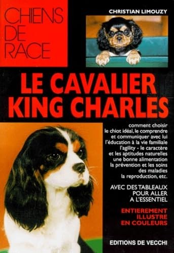 Cavalier king charles - cavalier,