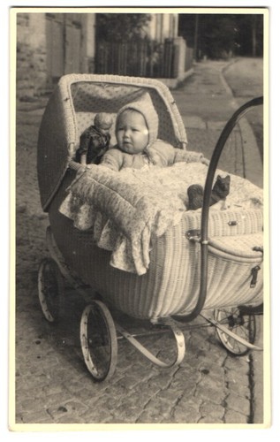 Photographie petit enfant dans