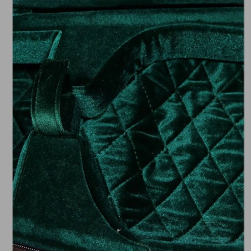 étui violon sac dos - Étui,