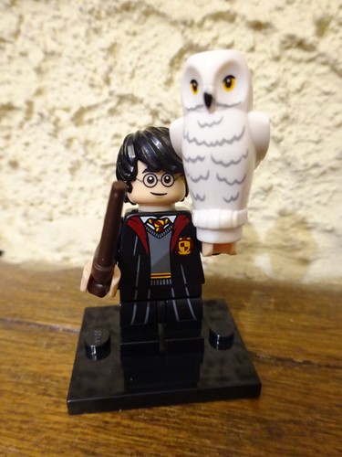 Lego harry potter série - harry, 1