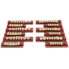 12 pièces fausses dents résine prothèse dentaire matériel synthétique résine ...