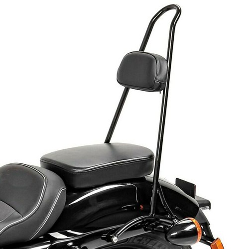 Tall sissy bar passenger - sissy,