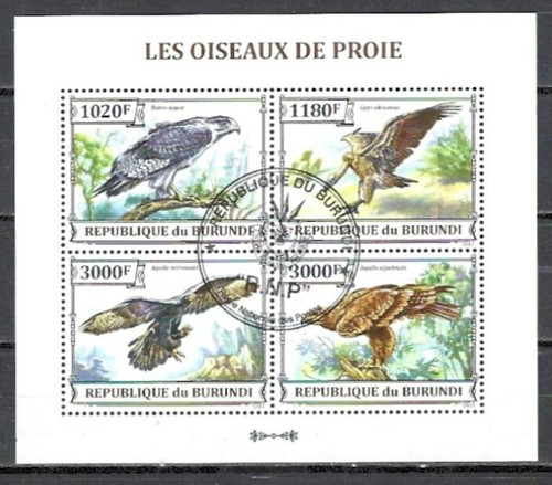 Animaux oiseaux proie - animaux,