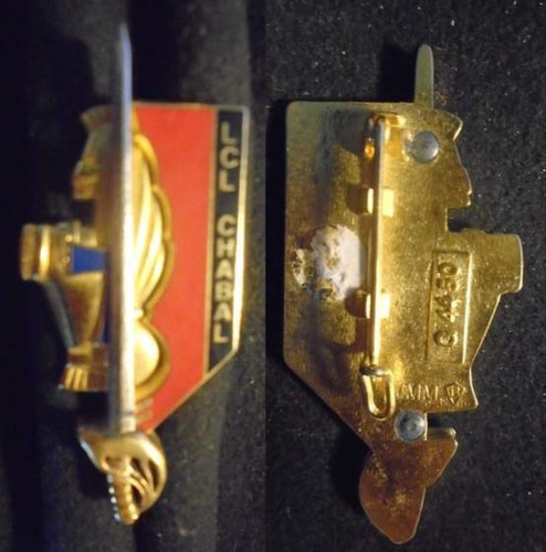 Insigne militaire - insigne,