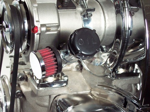 Bug oil filler extension - bug,