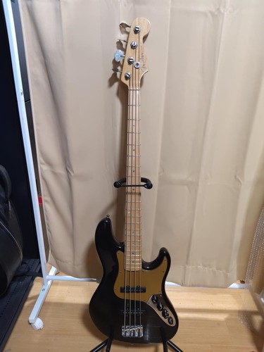Fender usa american - [fender],