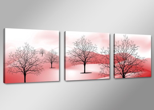Images sur toile - , x