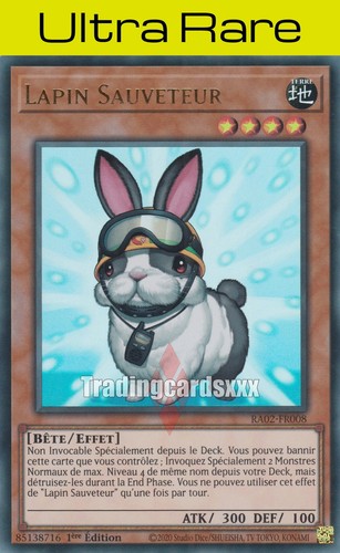 Lapin sauveteur ur - lapin,