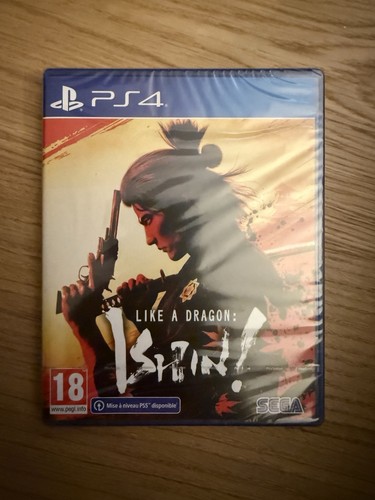 Like dragon ishin - dragon,