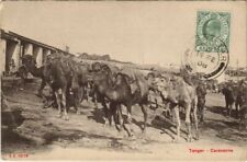 Old postcard AK MOROCCO Tangier - Caravan (1083020)
