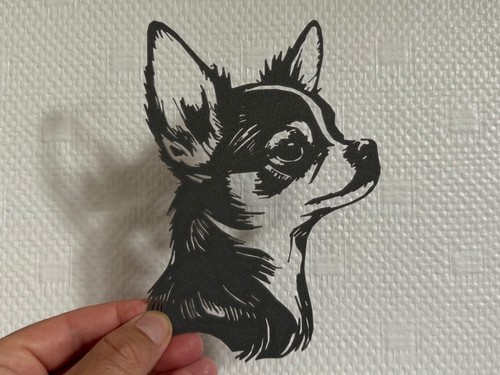 Portrait chihuahua - de,