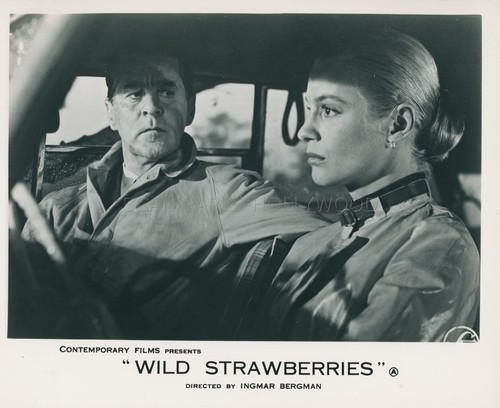 Ingrid thulin - ingrid,